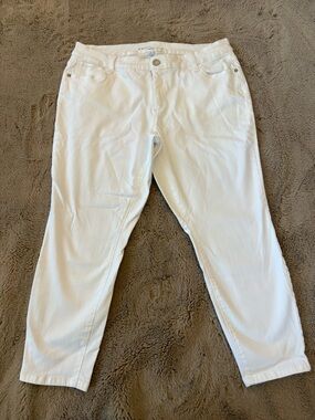 Boutique plus size skinny jeans, Women’s 18W